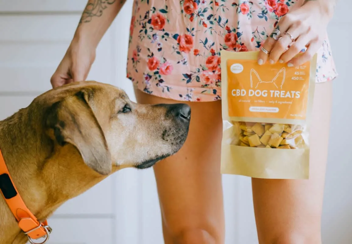 CBD Dog Treats