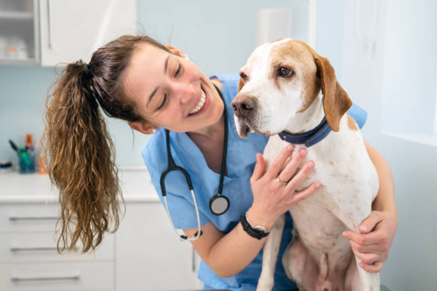 Important Vaccinations for Long Island Dogs to Stay Healthy